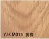 YJ-CM015