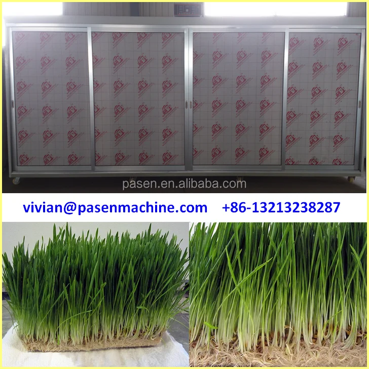 BDRSLX Growing Automatic Bean Sprout Machine Automatic Seed Sprouter Machine Auto Bean Sprout Grower Yogurt Natto Rice Wine Maker Food Grad 並行輸入品 Bean sprouts are thick and juicy| Bear Household automatic bean