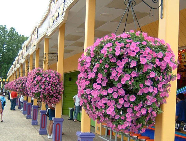 Подвесной цветочный горшок, садовые горшки для растений, подвесные садовые горшки из пластика, Китай