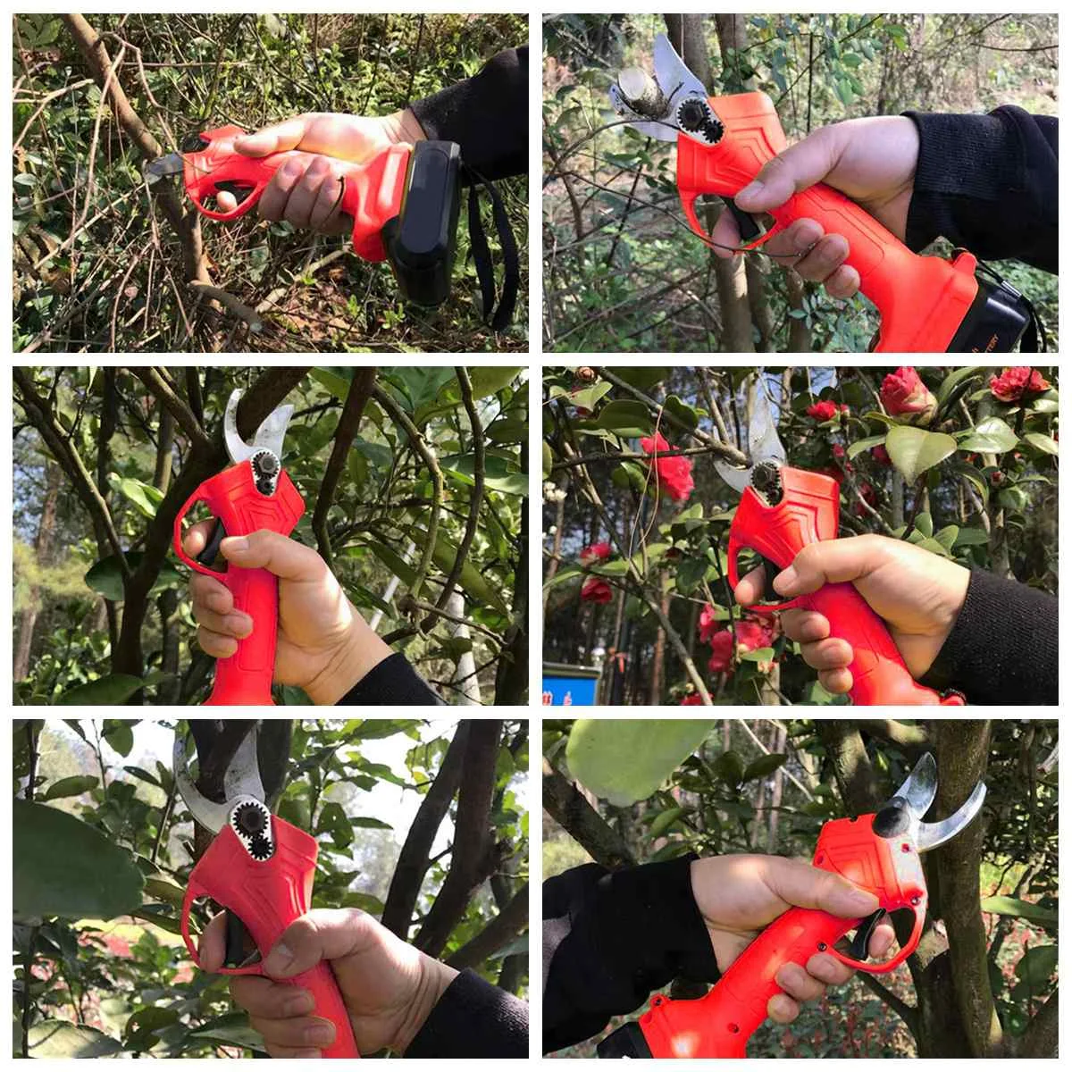 pruning shears (3)