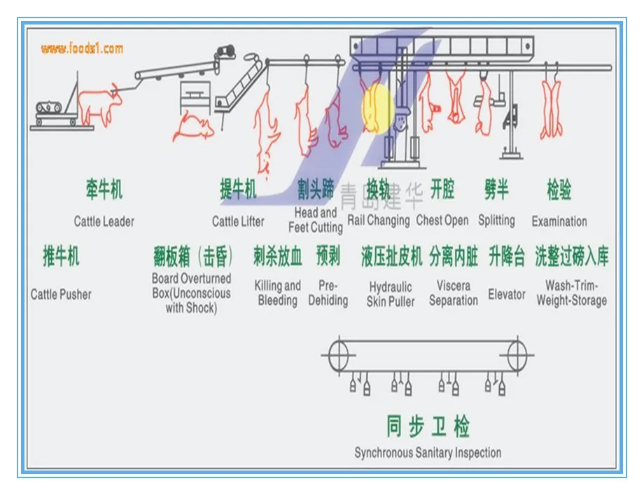 Halal cattle and sheep slaughtering box cattle and sheep slaughterhouse equipment