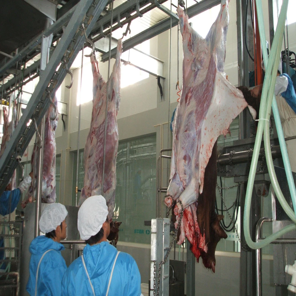 Livestock halal slaughtering machine for Islamic meat processing plants