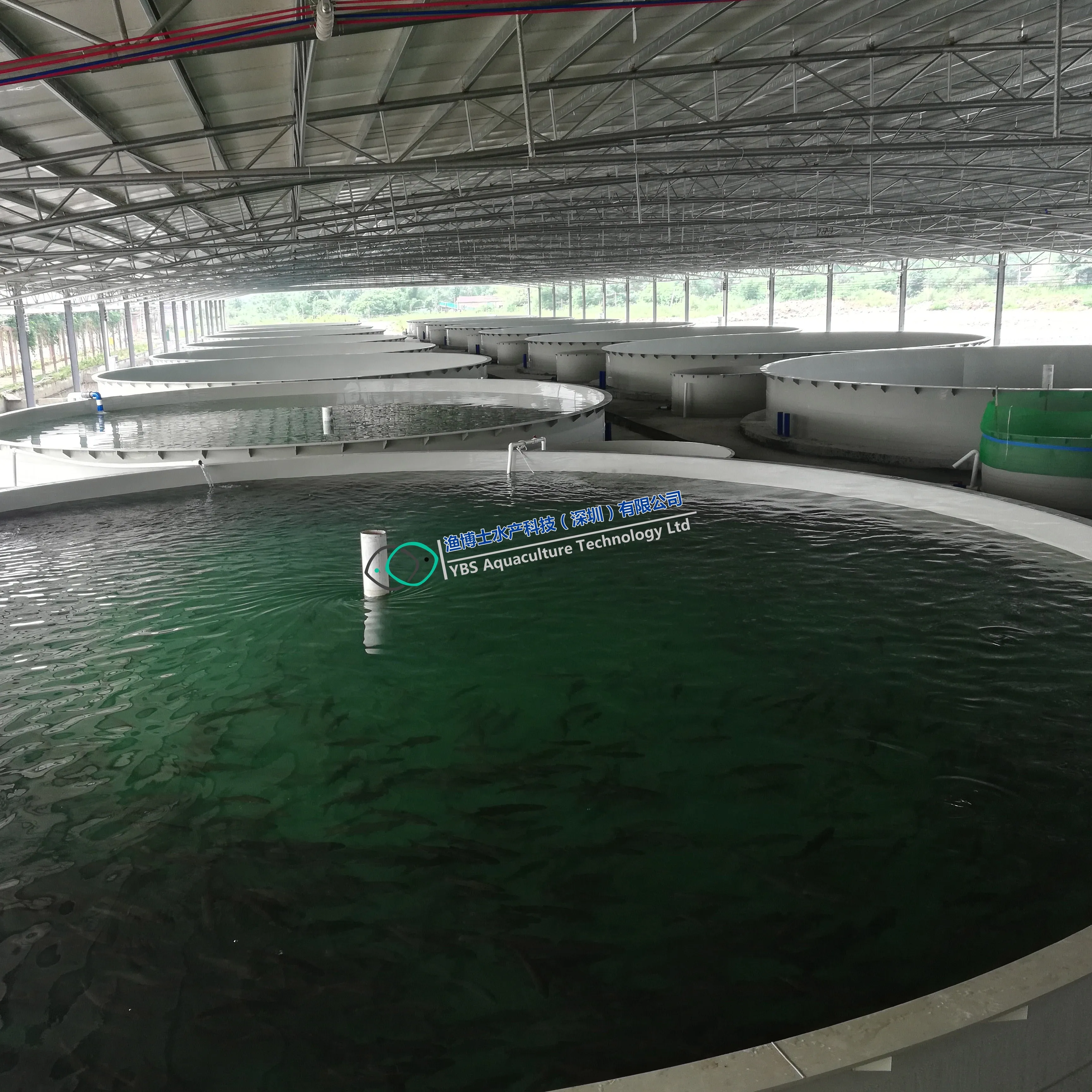 Cold Water Feeding Salmon Recirculating Aquaculture System in Landbase