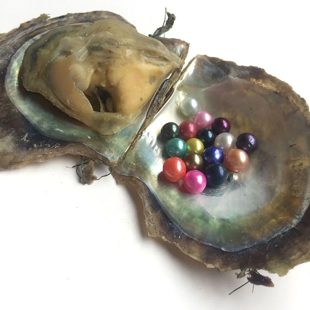 Mutiara Kerang Akoya Berbudaya Bulat