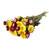 Jaune + rose