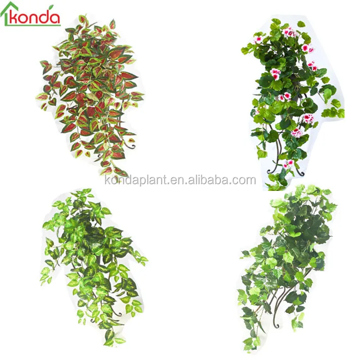 Tanaman Gantung Dinding Buatan Dekorasi Pernikahan Tanaman Rambat Ivy Halaman Anggur Buy Buatan Hanging Tanaman Tanaman Merambat Ivy Buatan Buatan Ivy Product On Alibaba Com