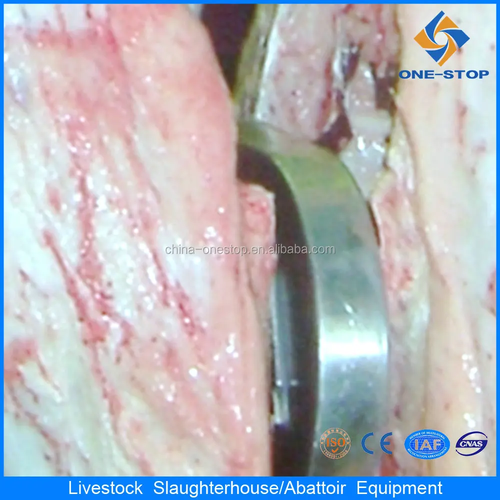 Belt type beef bone cutting machine