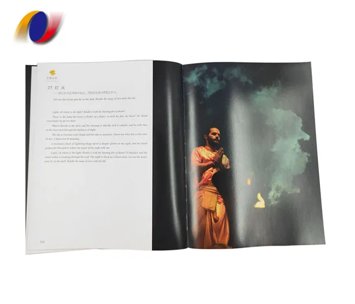 Professional Perfect Binding Softcover Book Printing Offset Publishing for Booklets Magazines Brochures Using Fancy Cardboard supplier