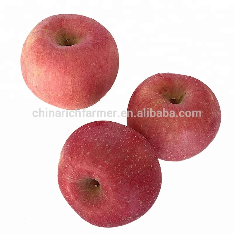 China Fresh Blush Red Fuji Apples Fruit Export to Indian Market