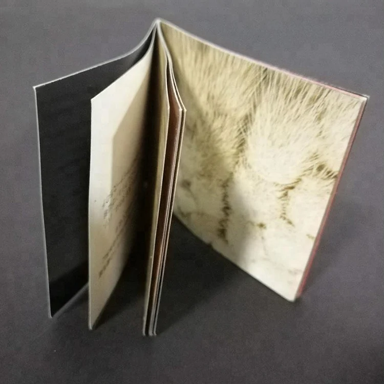 Пользовательская брошюра/Брошюра/Каталог/буклет/журнал, служба печати брошюр