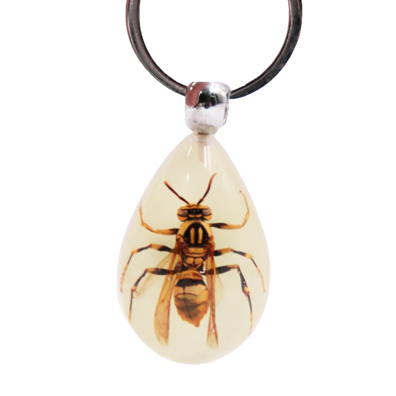 Luminous Scorpion Keychain Real Insect Amber Keyring Fluorescent Effect Metal Plastic Resin Acrylic Number Gifts Decorations