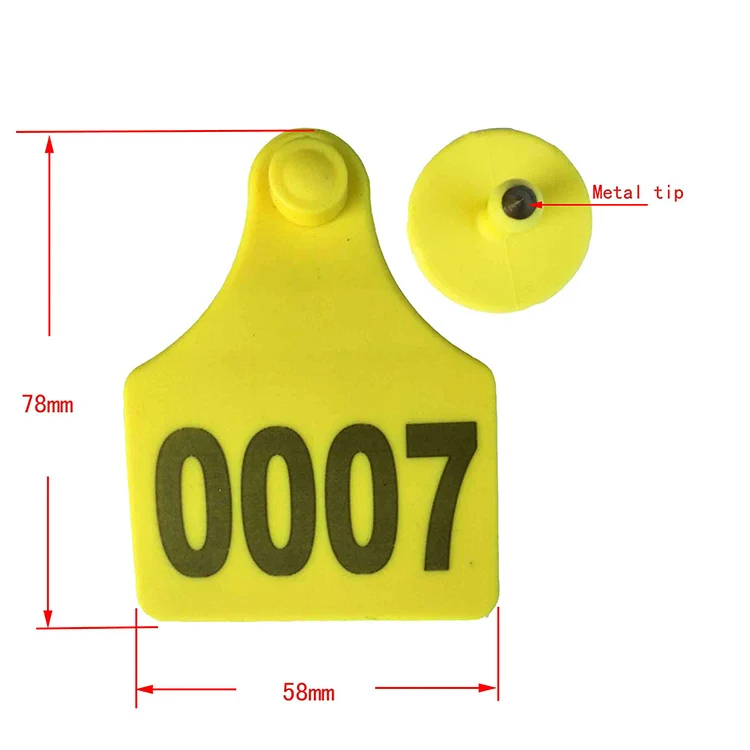 7858-06.jpg