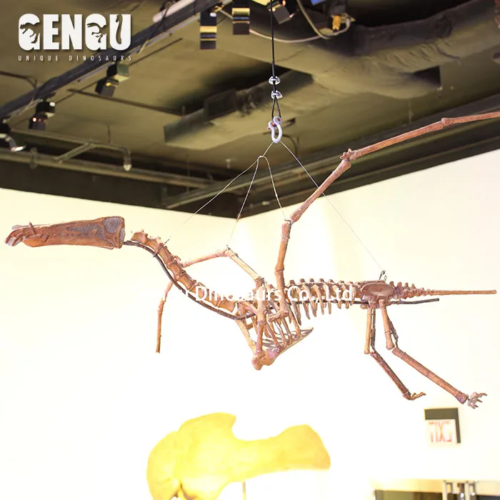 Скелет летающего динозавра. Летающий скелет
