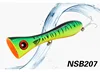 NSB207