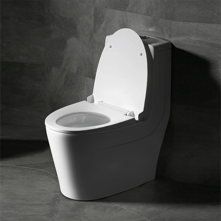 White Washdown One Piece Western Style Human Toilet Closestool