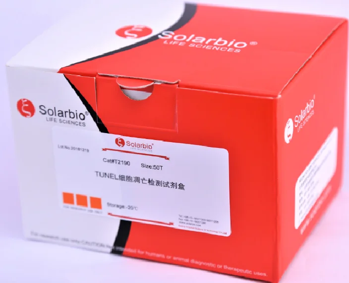 tunel apoptosis assay kit
