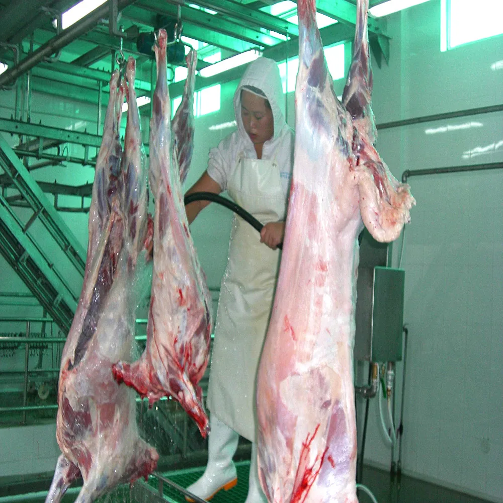 Turnkey Project Sheep Slaughter Line Halal Slaughter Machine Goat and Lamb Slaughterhouse Equipment