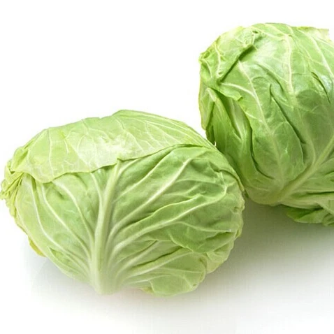 2019 fresh cabbages/cabbage exported to southeast asia, the