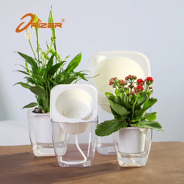 新款良好abs材质正方形自浇水透明塑料装饰花盆 Buy 懒惰的花盆 透明花盆 方形花盆product On Alibaba Com