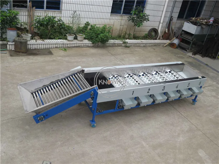 Commercial Grape Fruit Sorting Machine Lemon Grader Vegetable Washing Grading Machine
