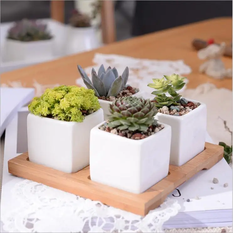 Creative Square Flower Design Pot Bamboo Stand 4 Succulent Plant Pot Holder Garden Decor Planter Buy Whiskey Display Shelf Rack Free Standing Trousers Microwave Oven Baggage Luggage Wooden Towel Height Adjustable Chrome