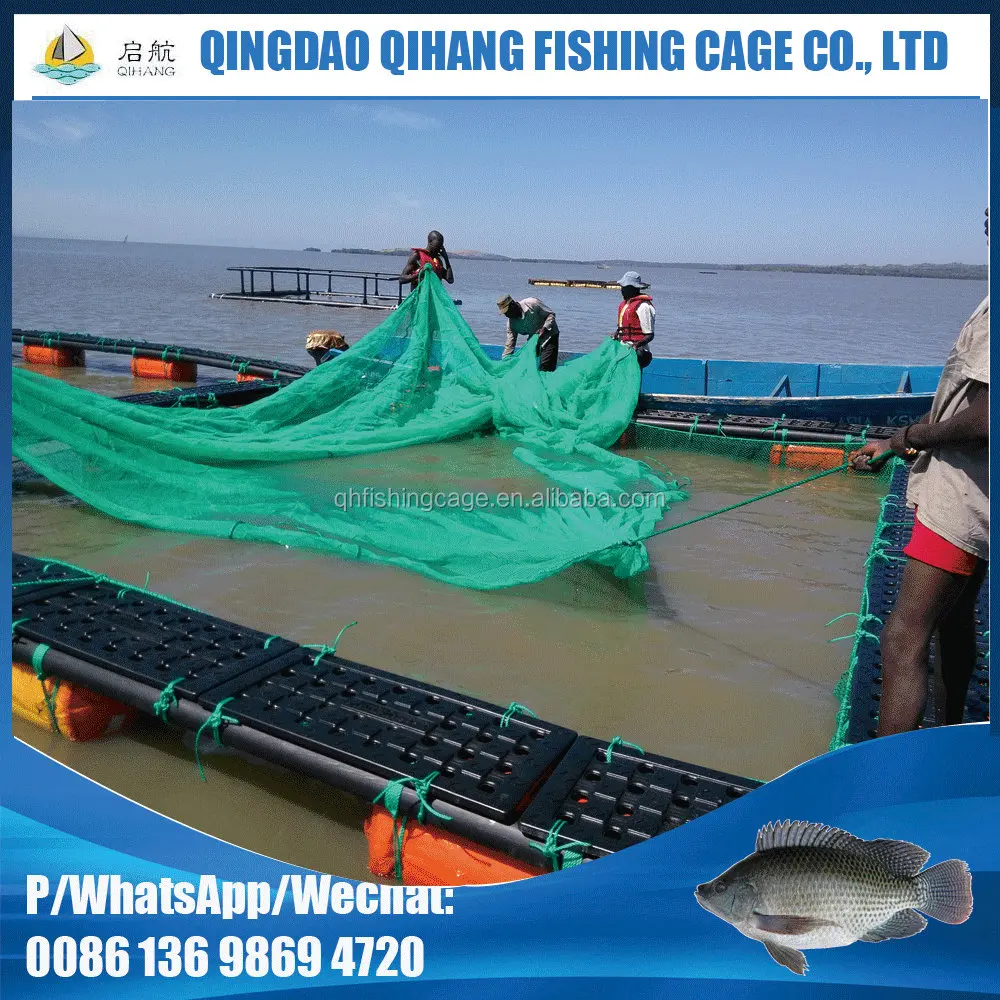 Cage fish farming in Ghana - Fish Consulting Group