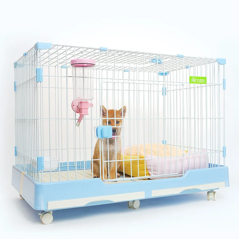 large wire dog crate