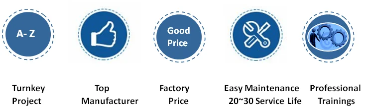 Complete pork slaughtering equipment package for modern slaughterhouse processing line