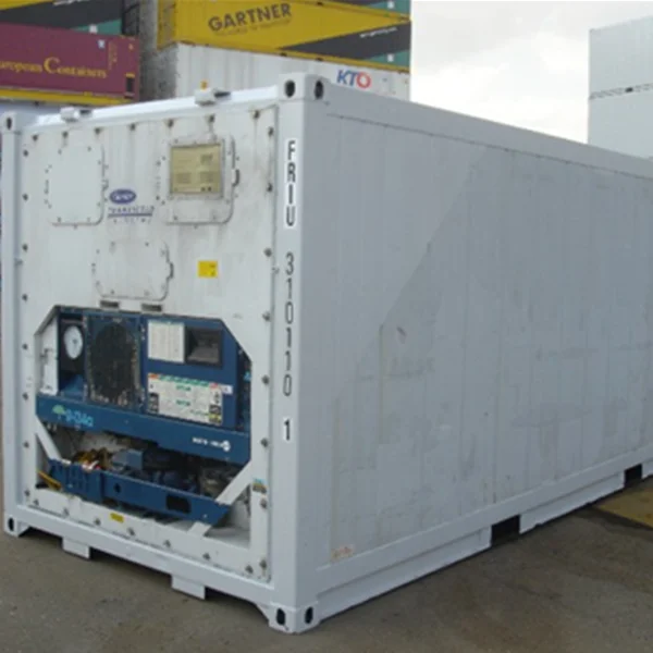 White Carrier Or Thermoking 20ft Or 40 Ft Refrigerated/reefer Container