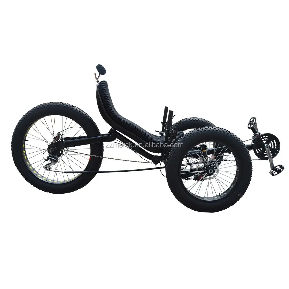 Free Express Shipping - Adult Recumbent Trike, 24 Speed