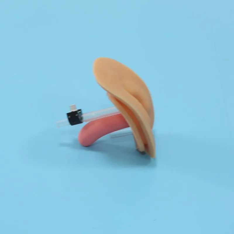 
BIX-H1D медицинская электронная уретральная Катетеризация и модель клизмы 