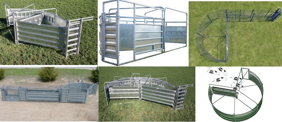 Rotary Separation Channel Crowding Tub Cattle Sweep System For Cattle ...