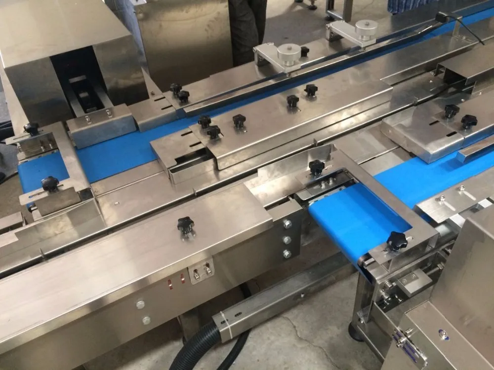 Skywin Automatic Wafer Feeding and Flow Packing System Biscuits ...