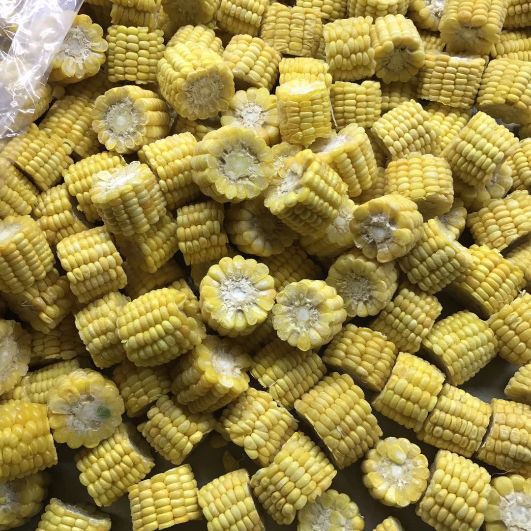 hot sale BRC certified frozen sweet corn cob whole / cut new crop good quality