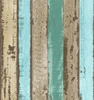 FR366008