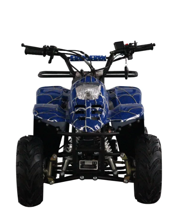 Дешевого 4-тактного/детскй 4-колесный 110cc гоночный quad велосипед, способный преодолевать Броды для продажи