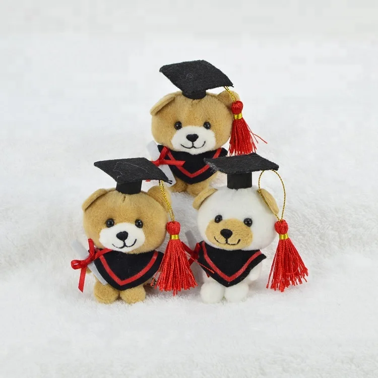 small graduation teddy bear