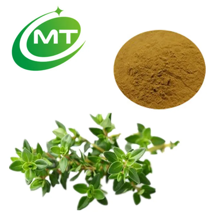 10:1Thyme Extract/Dried Thyme Leaves Extract/Thyme Powder