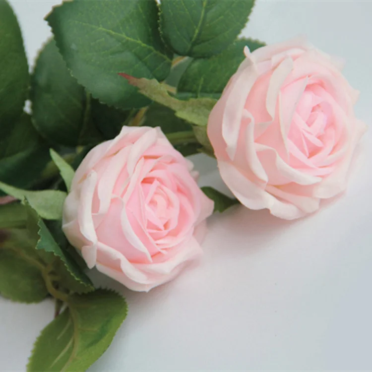 Hot Sale Wedding Home Decoration Single Stem Nature Artificial Rose Flowers Real Touch Silk Roses For Sale Buy Artificial Flowers Rose Real Touch Rose Artificial Artificial Rose Product On Alibaba Com