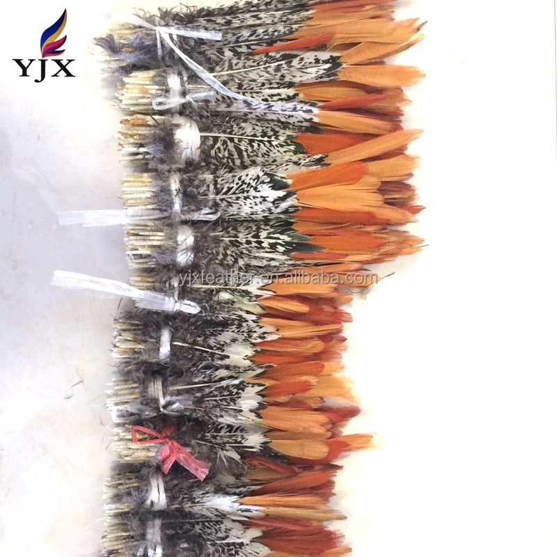 Lady Amherst Pheasant Feathers - Natural for Sale Online