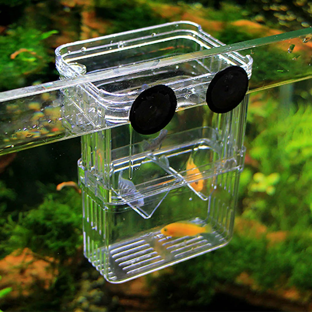 Caja de aislamiento de cría Bandeja de desove flotante Bandeja de desove para peces caja de criador de peces de plástico transparente con 2 ventosas para acuario 