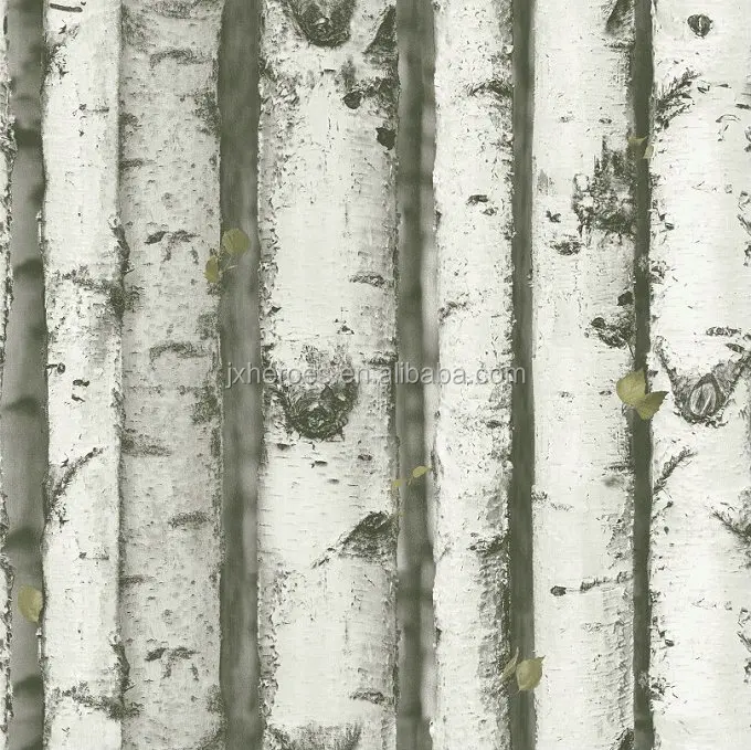 Bark details of birch tree  Tree wallpaper bedroom, Birch tree wallpaper,  Tree wallpaper texture