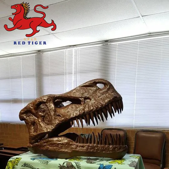 Dinosaur Skeleton Fossils Factory for Sale