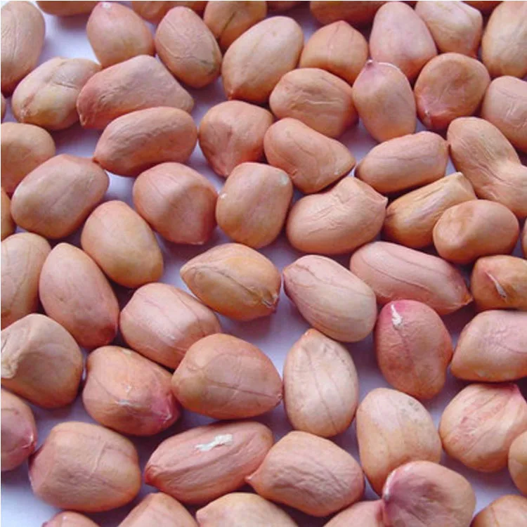 Новый урожай семян арахиса длинного типа по заводской цене