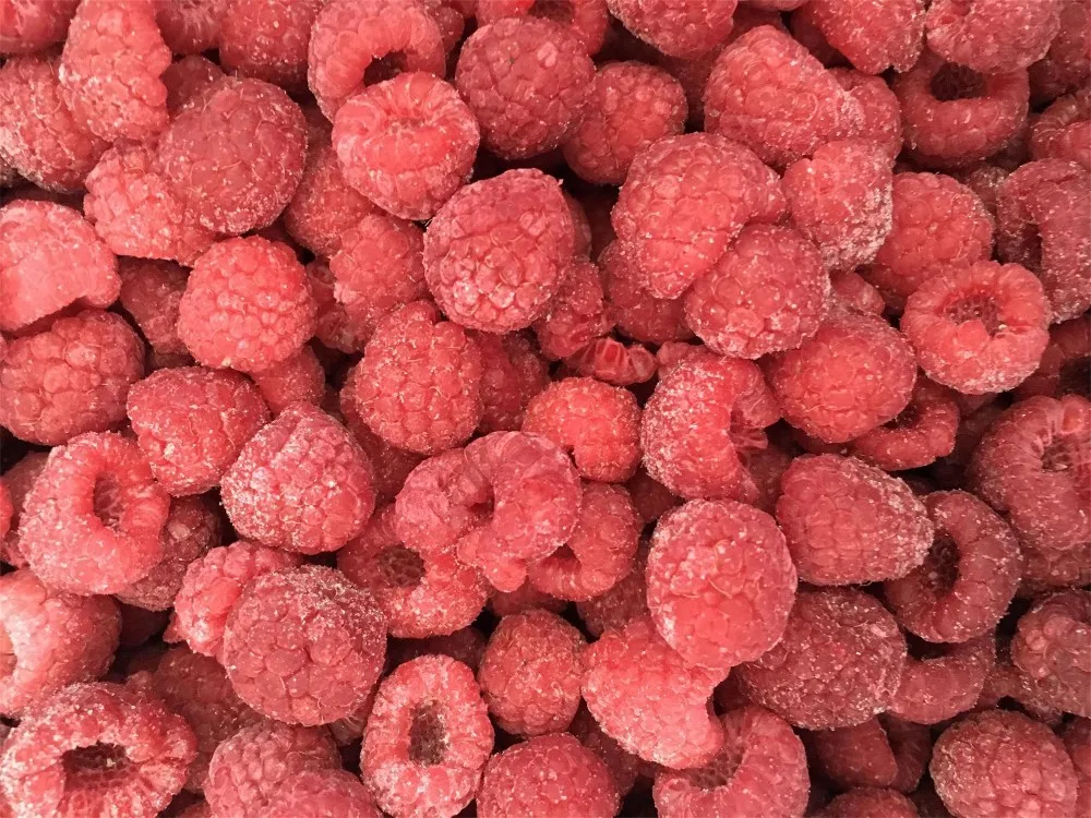 High Quality New Crop IQF Frozen Raspberries Water Preserved Raspberry Fruit for Wholesale and Retail in Bulk factory