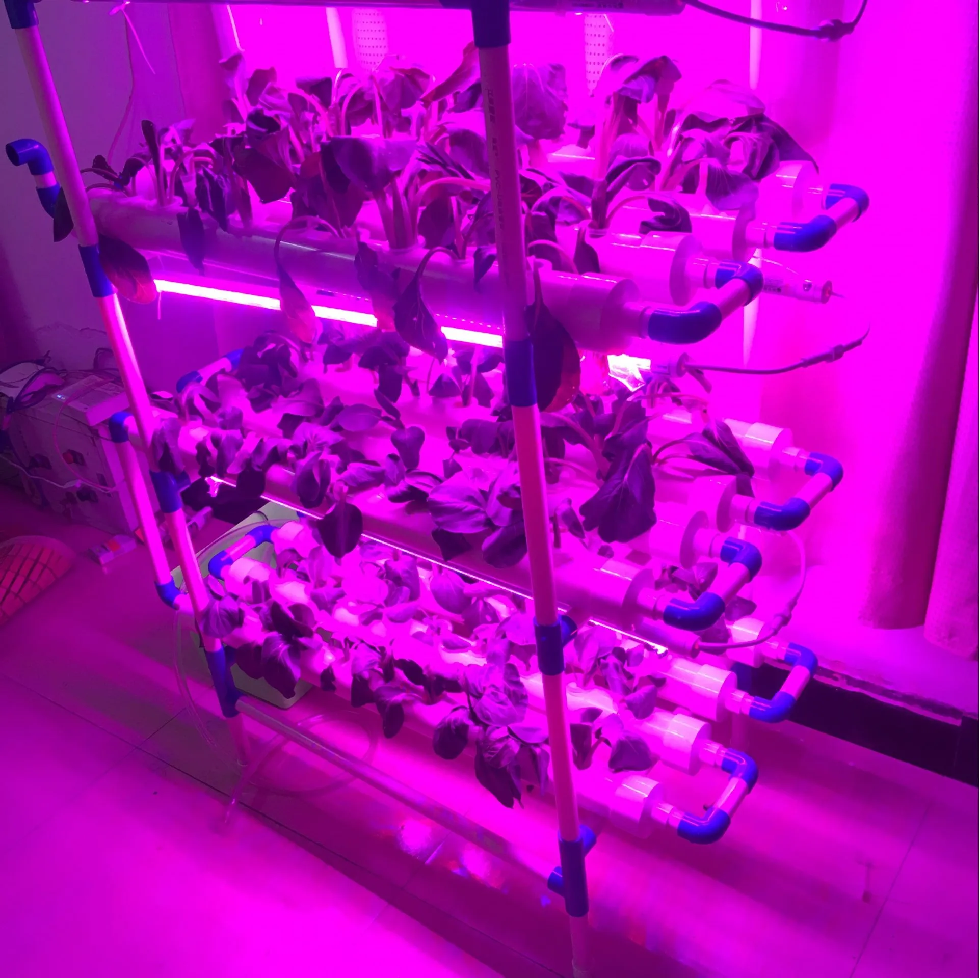 NFT 3 Layer 12  Pvc Pipe Hydroponic System With LED  to  Grow  Vegetable Garden Greenhouse Hydroponics Plastic