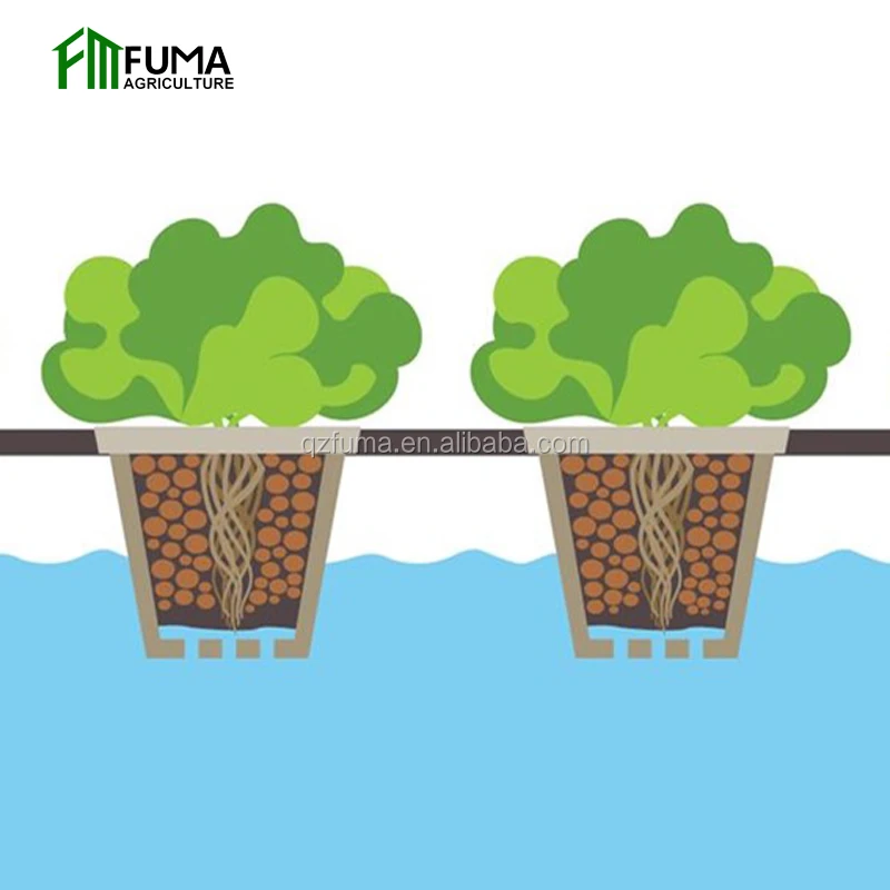 FM Low Cost Commercial Greenhouse Vertical Hydroponic Grow Systems for Sale