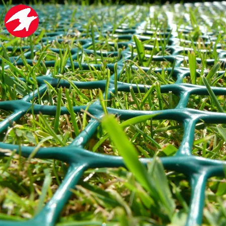 Plastic Grass and Turf  Reinforcement Mesh Net for Grass protection Mat