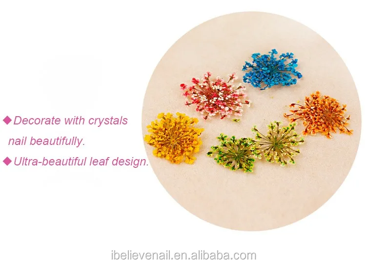 Новый стиль 12 видов цветов украшения прессованные натуральные