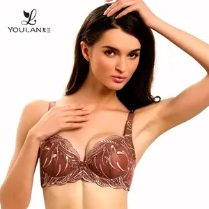 Embroidery Bottom Price Transparent Lace Big Size Hot Sexy Bra